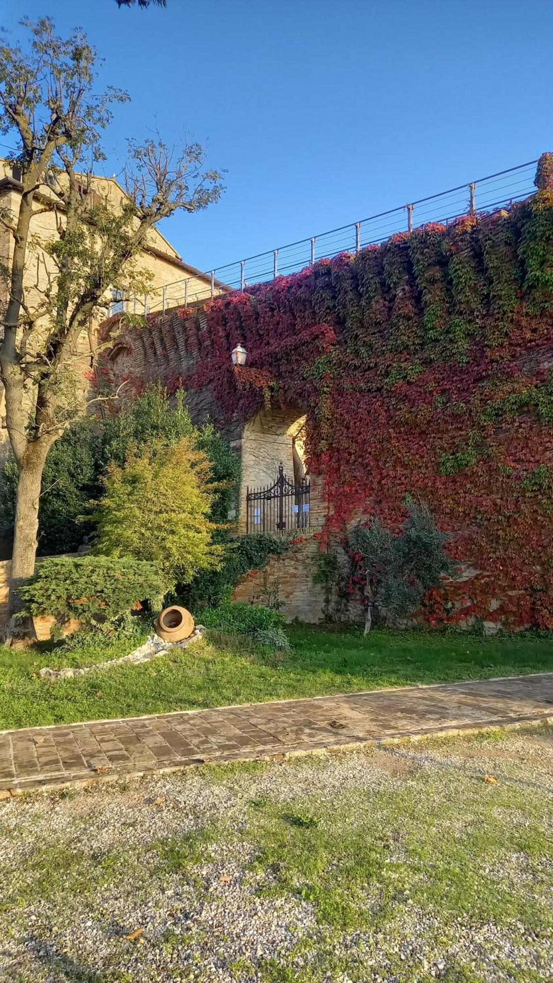 Ferienwohnung Novecento Bertinoro Exterior foto